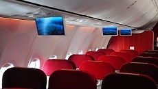 大新華航空有限公司旅客、行李國內運輸總條件